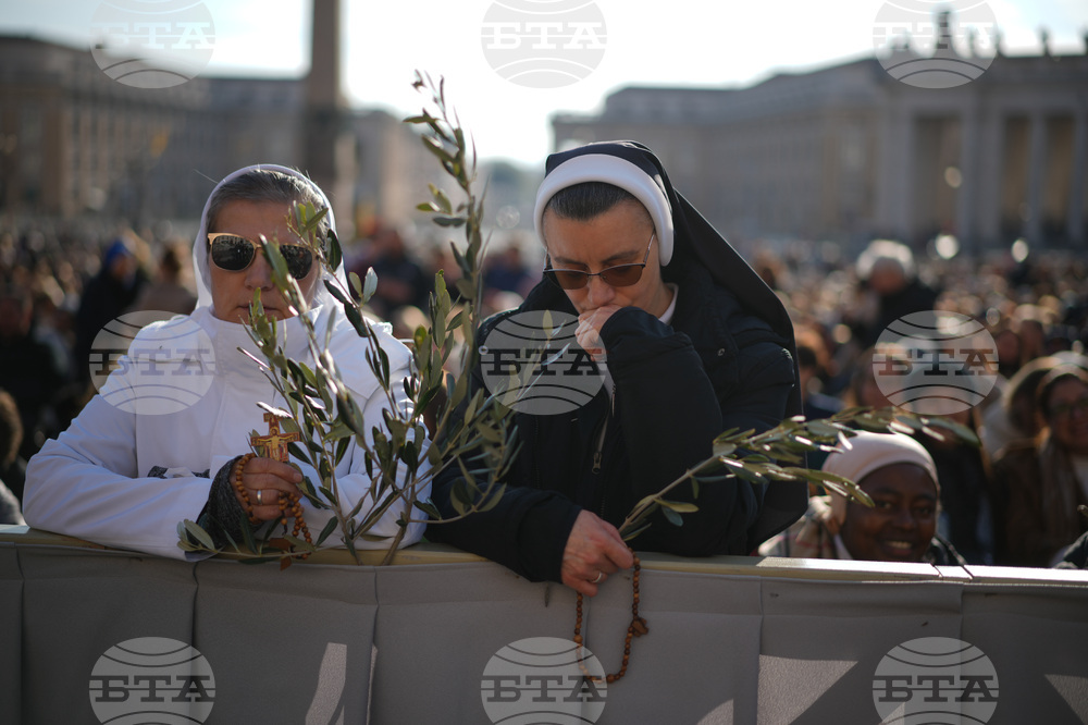 Vatican Pope Palm Sunday