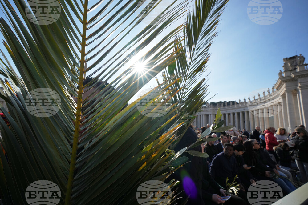 Vatican Pope Palm Sunday