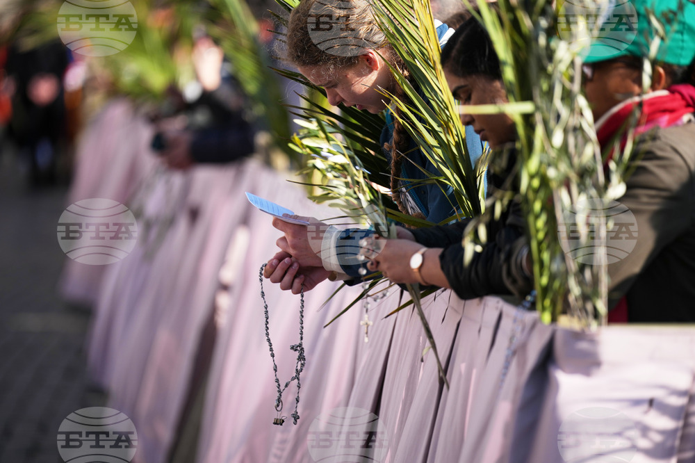 Vatican Pope Palm Sunday