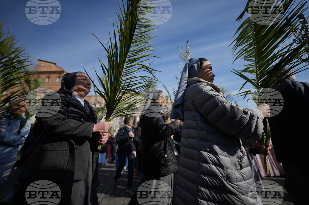 Vatican Pope Palm Sunday