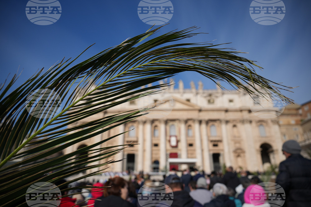 Vatican Pope Palm Sunday