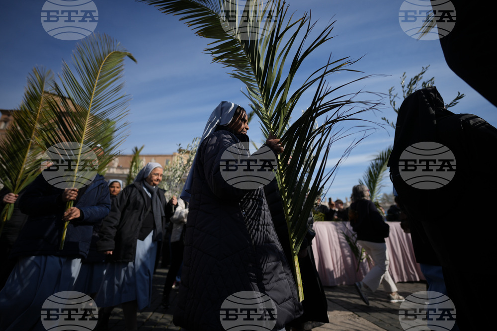 Vatican Pope Palm Sunday