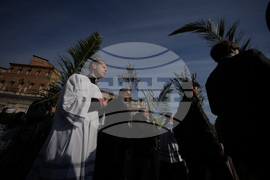 Vatican Pope Palm Sunday