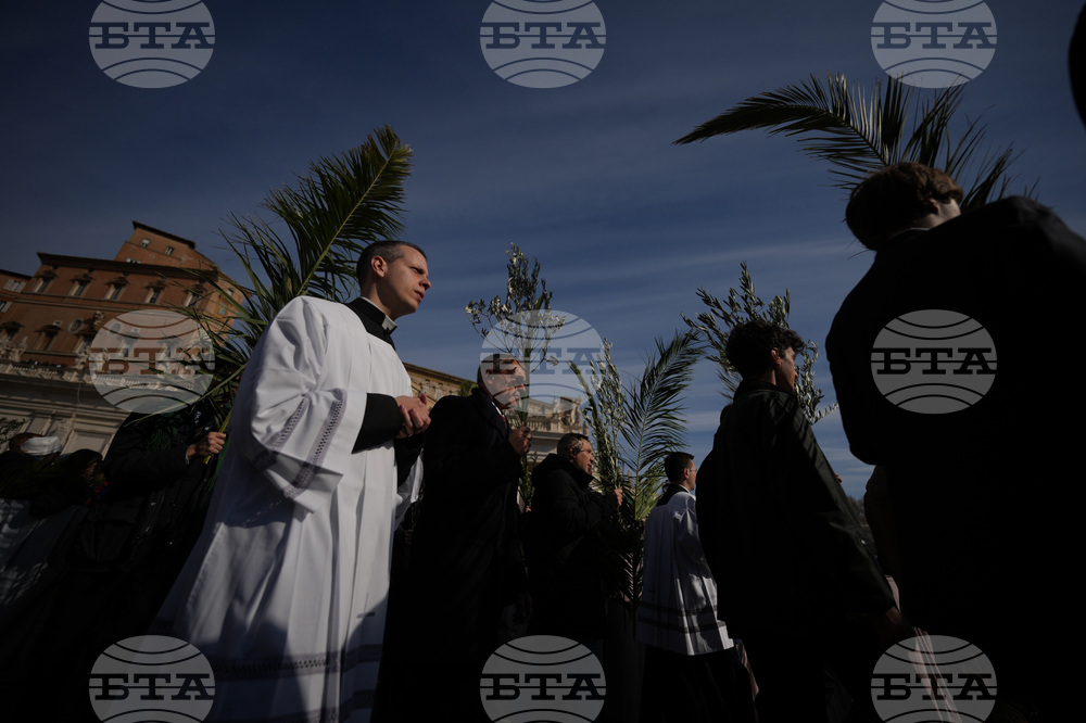 Vatican Pope Palm Sunday