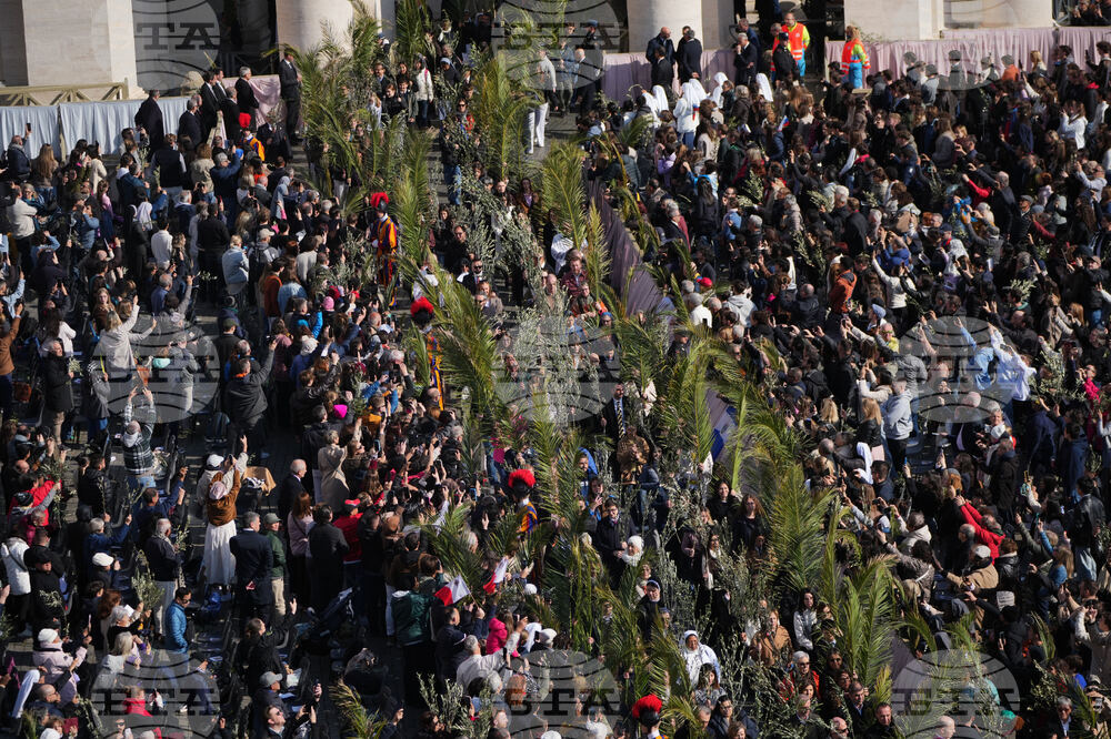 Vatican Pope Palm Sunday