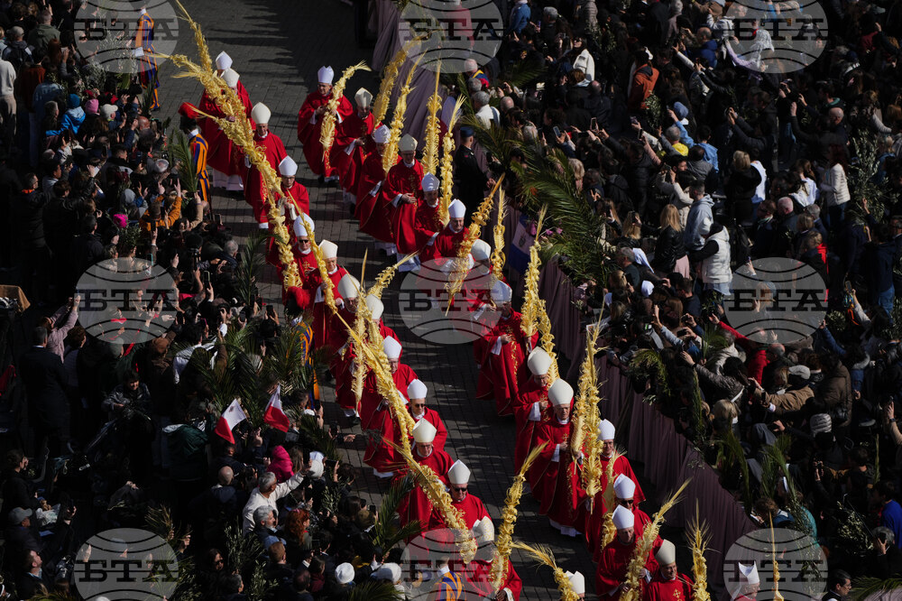 Vatican Pope Palm Sunday