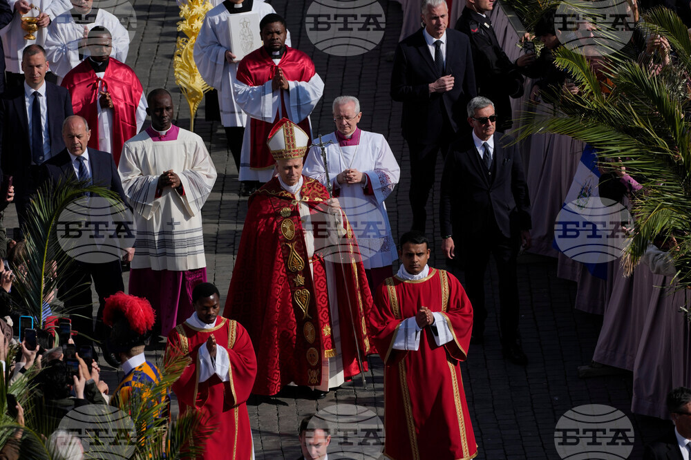 Vatican Pope Palm Sunday