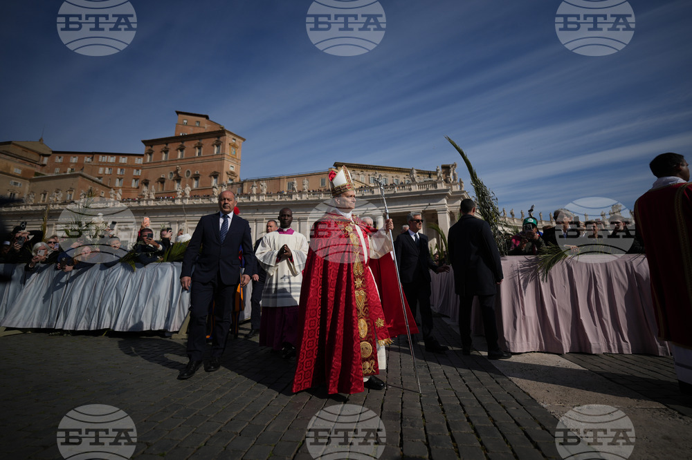 Vatican Pope Palm Sunday