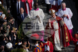 Vatican Pope Palm Sunday