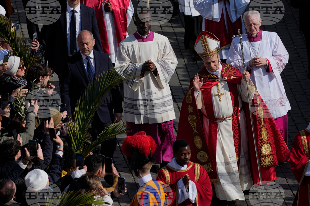 Vatican Pope Palm Sunday
