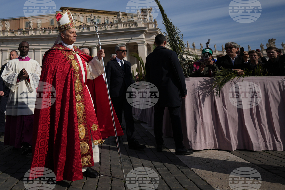 Vatican Pope Palm Sunday