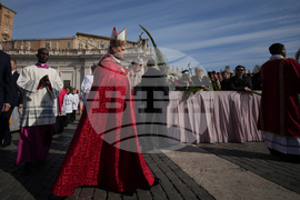 Vatican Pope Palm Sunday