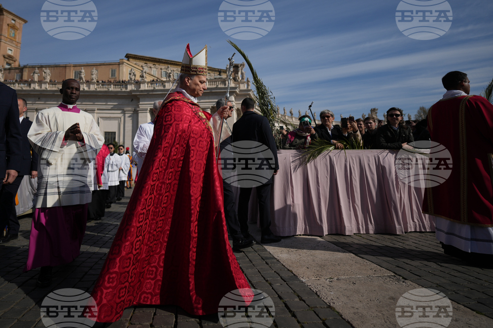 Vatican Pope Palm Sunday