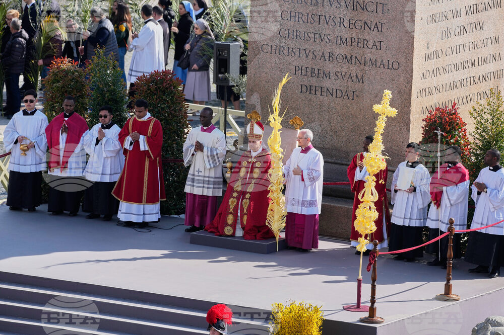 Vatican Pope Palm Sunday
