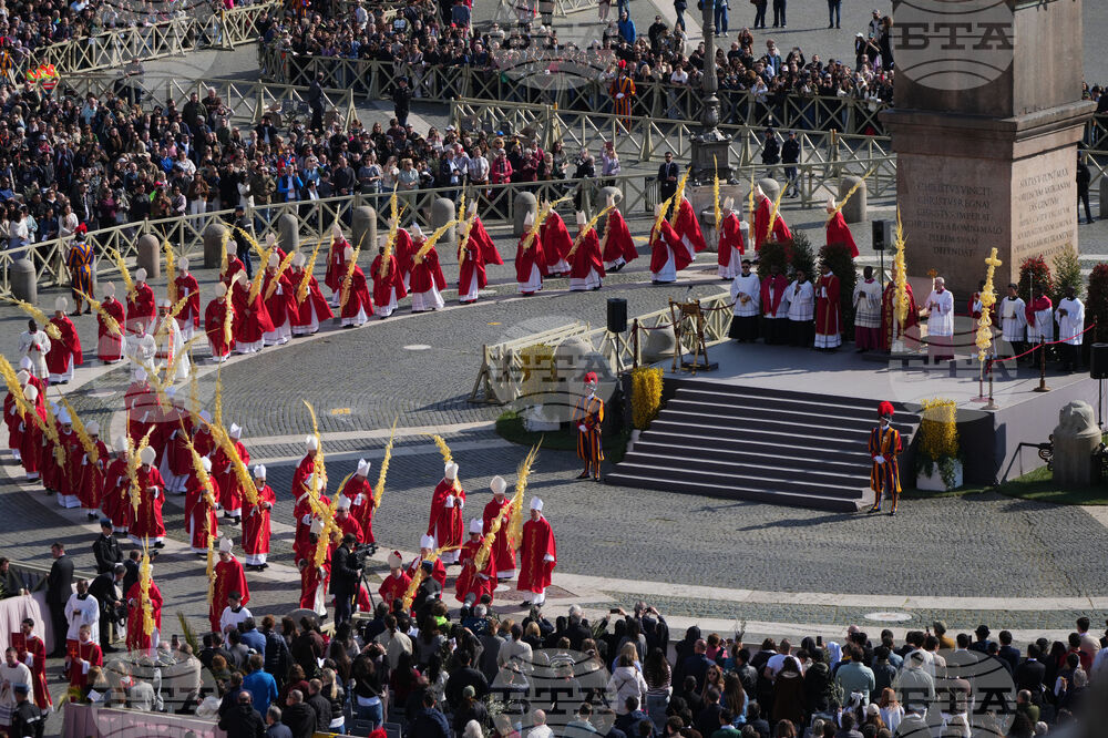 Vatican Pope Palm Sunday