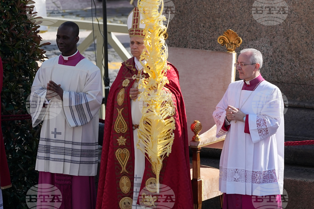 Vatican Pope Palm Sunday