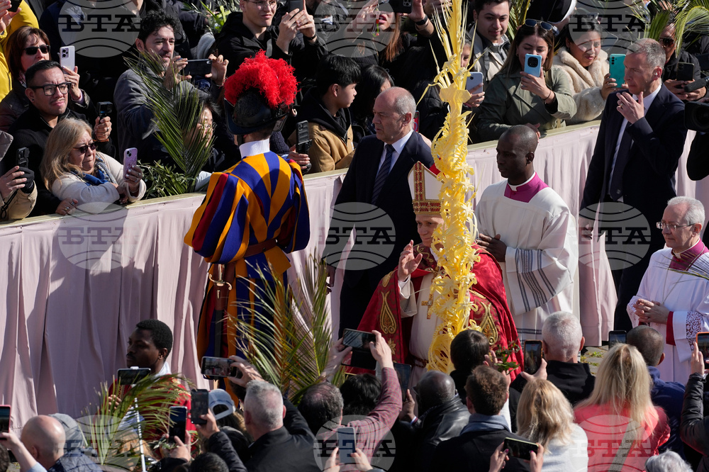 Vatican Pope Palm Sunday