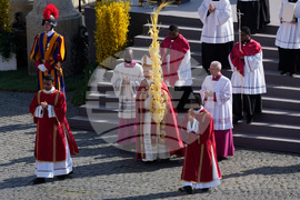 Vatican Pope Palm Sunday