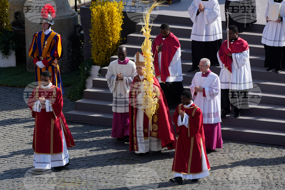 Vatican Pope Palm Sunday