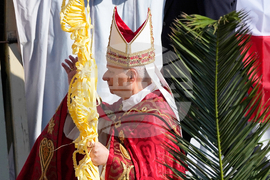 Vatican Pope Palm Sunday