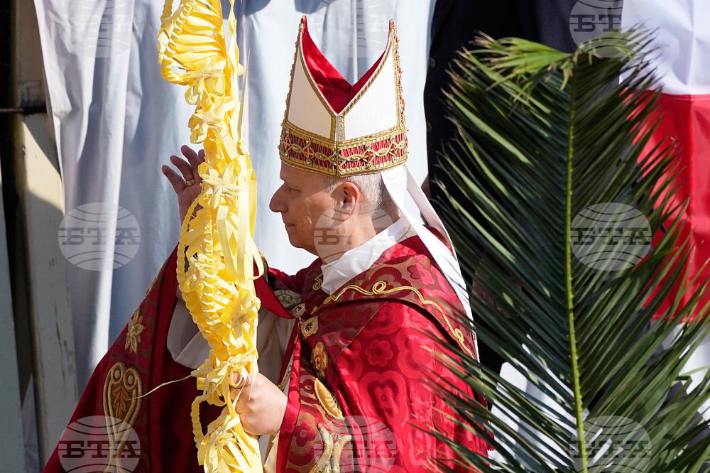 Vatican Pope Palm Sunday