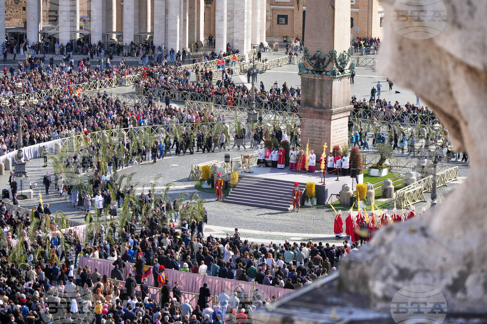 Vatican Pope Palm Sunday