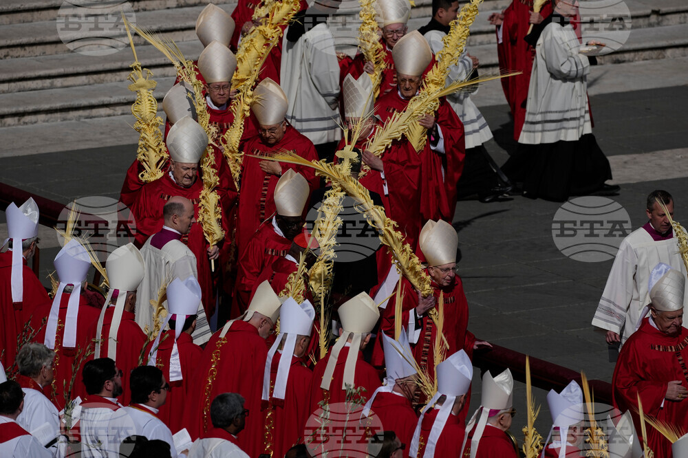 Vatican Pope Palm Sunday