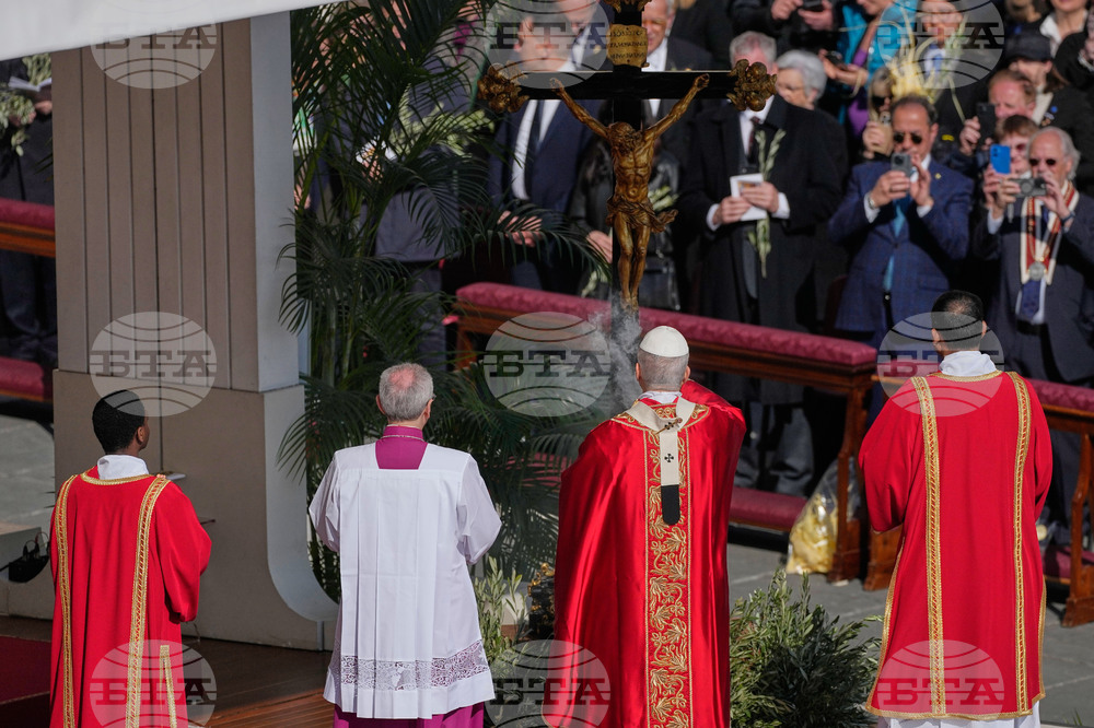 Vatican Pope Palm Sunday