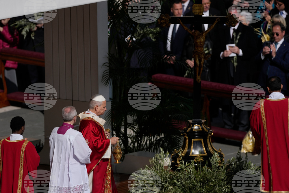 Vatican Pope Palm Sunday