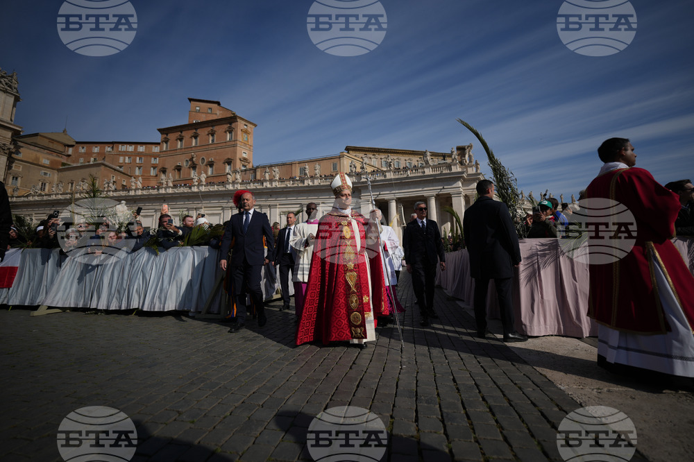 Vatican Pope Palm Sunday