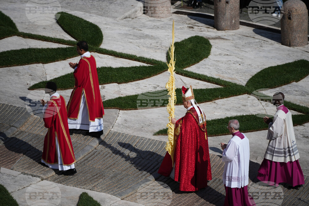 Vatican Pope Palm Sunday