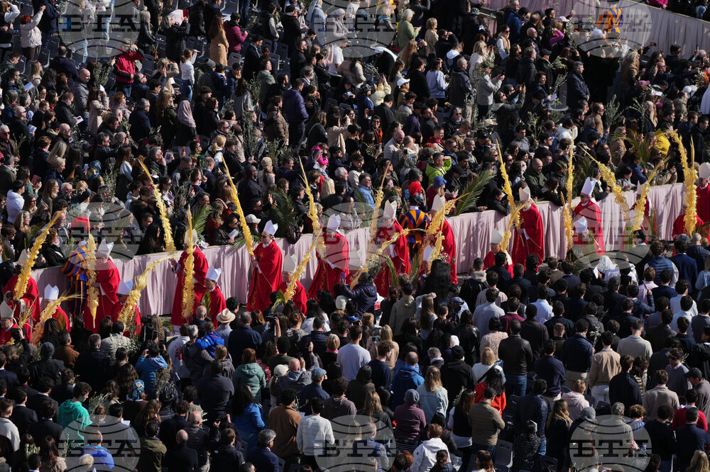 Vatican Pope Palm Sunday
