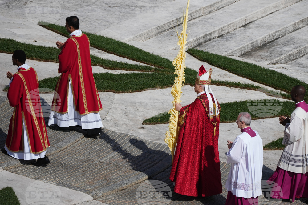 Vatican Pope Palm Sunday