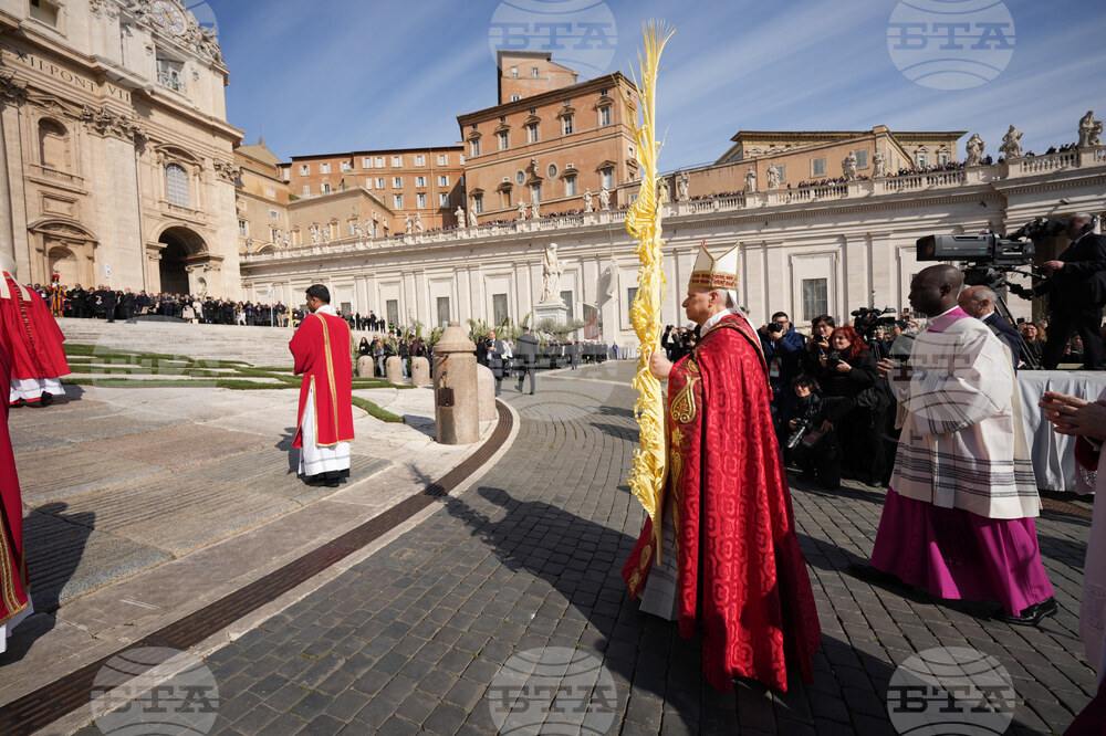 Vatican Pope Palm Sunday