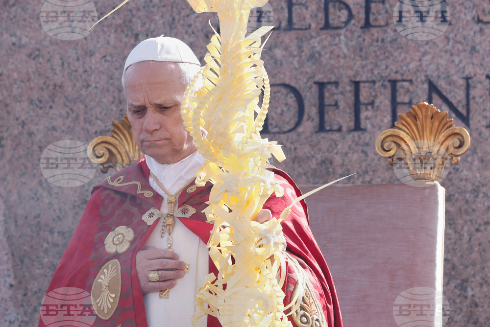 Vatican Pope Palm Sunday