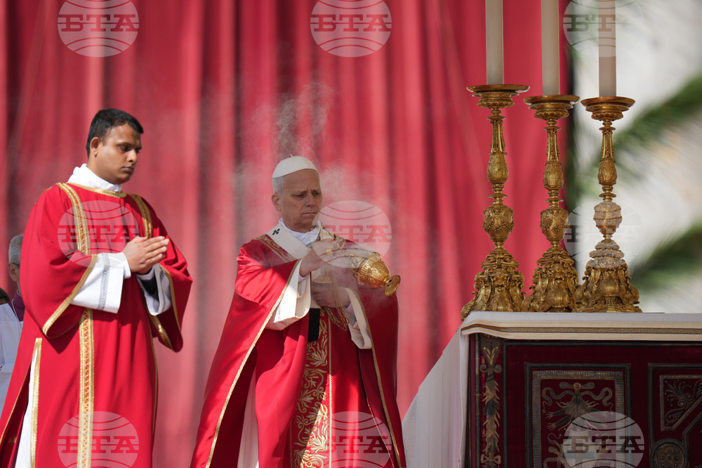 Vatican Pope Palm Sunday
