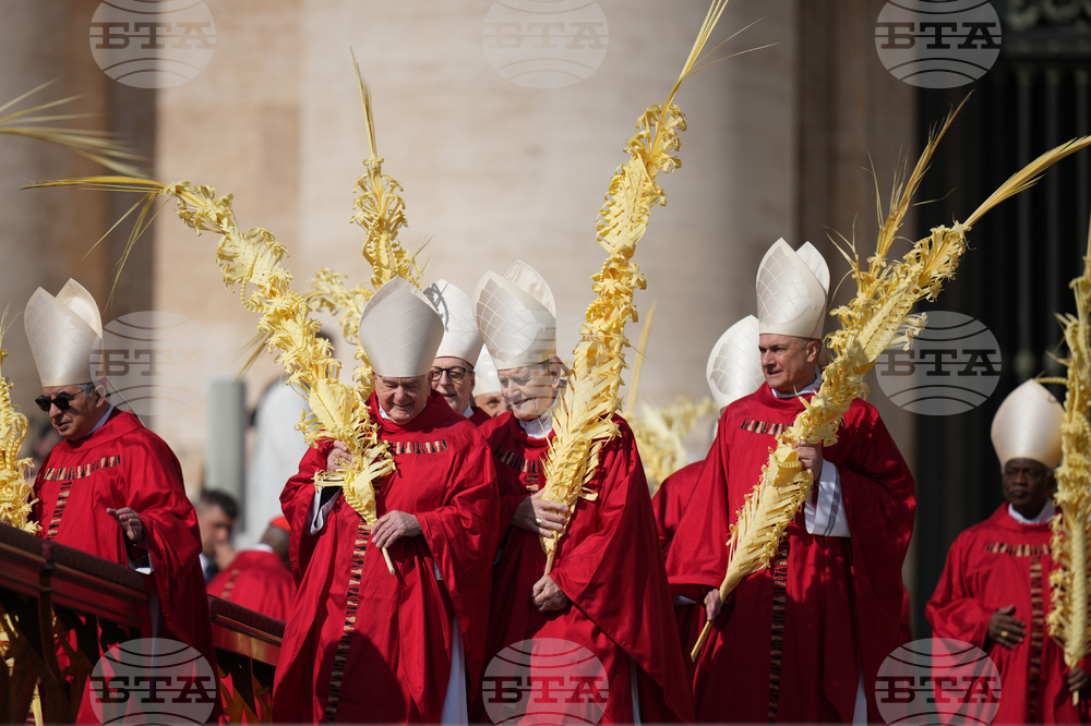 Vatican Pope Palm Sunday