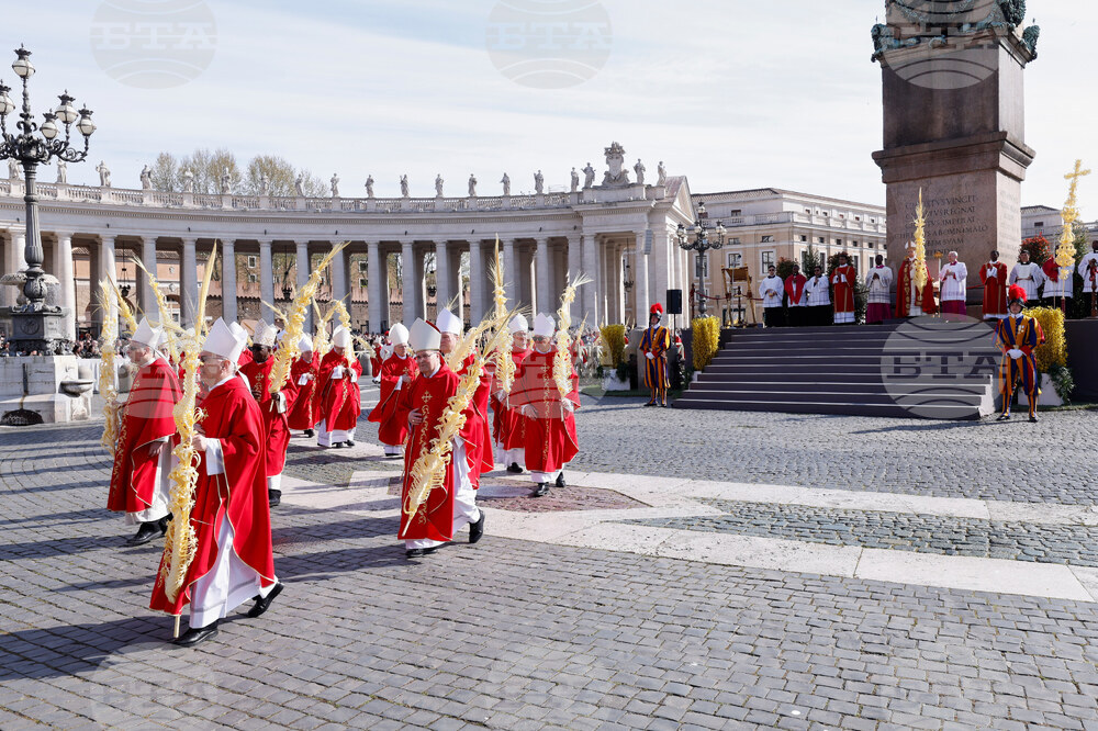 Vatican Pope Palm Sunday