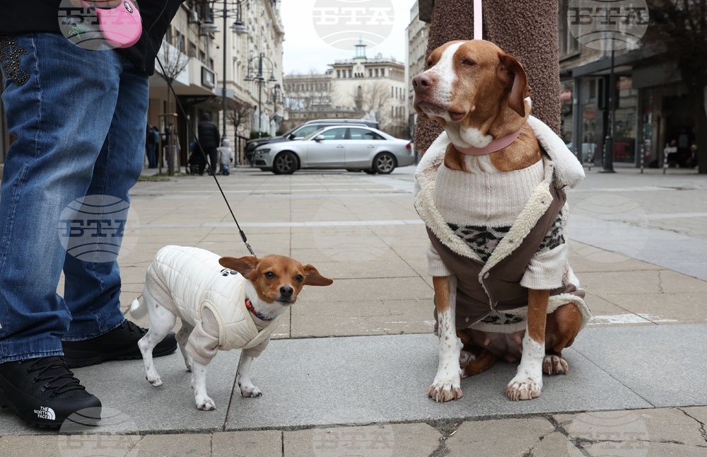 Информационна кампания „Сканирай лапата“