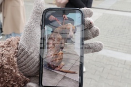 Информационна кампания „Сканирай лапата“