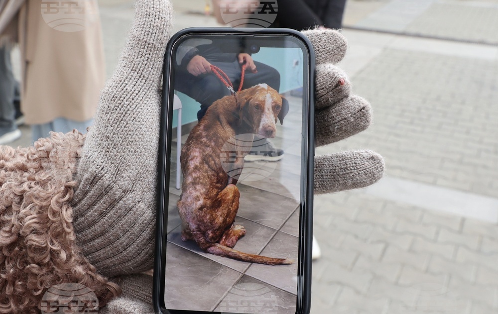 Информационна кампания „Сканирай лапата“