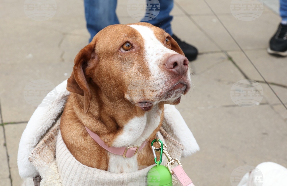 Информационна кампания „Сканирай лапата“