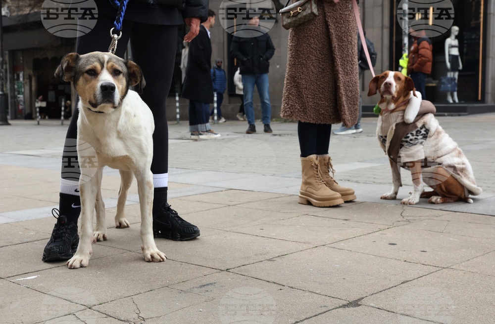 Информационна кампания „Сканирай лапата“