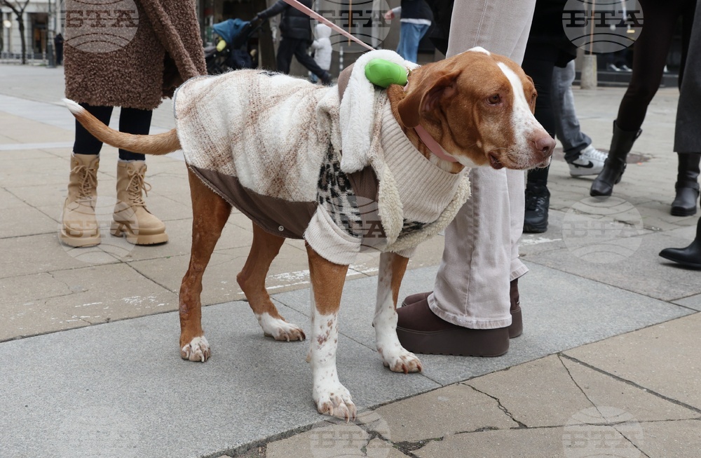 Информационна кампания „Сканирай лапата“