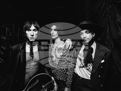 Palaye Royale е специален гост на концерта на Breaking Benjamin в София, снимка – „София мюзик ентърпрайсис“ 