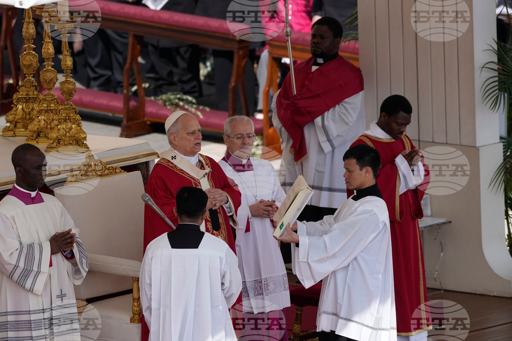 Vatican Pope Palm Sunday