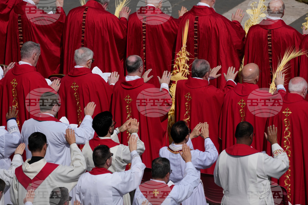 Vatican Pope Palm Sunday