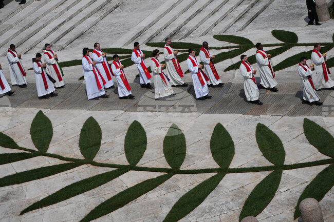 APTOPIX Vatican Pope Palm Sunday