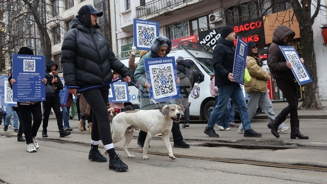 В София откриха кампанията „Сканирай лапата“ за помощ на животни в риск