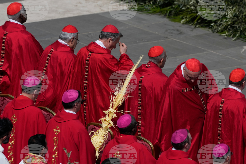 Vatican Pope Palm Sunday